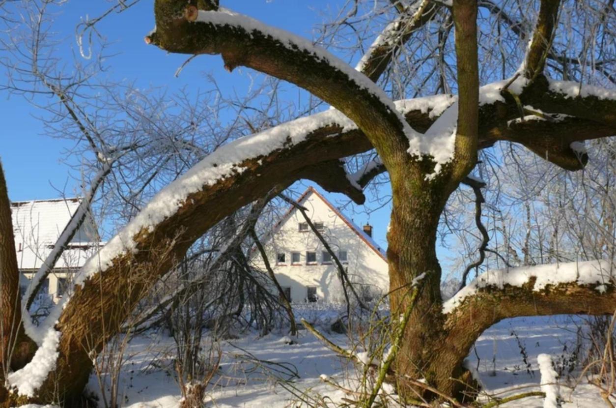 Kulturgutleben Boutiquehotel Seminarhaus Mollenbeck Exterior photo